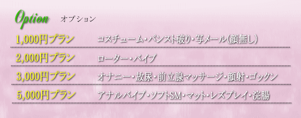 長崎ナイトシーン オプション料金